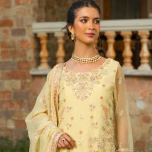 RTS | SHIRT, TROUSER & DUPATTA