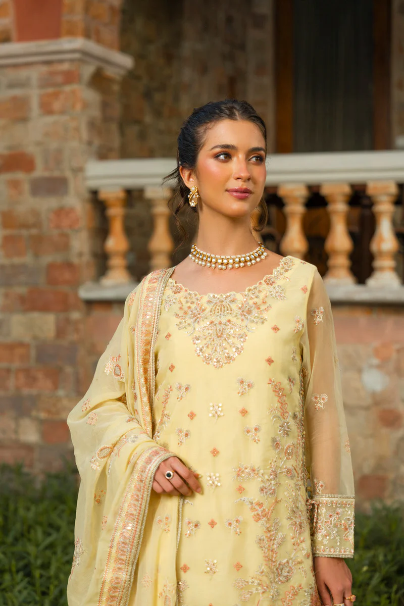 RTS | SHIRT, TROUSER & DUPATTA